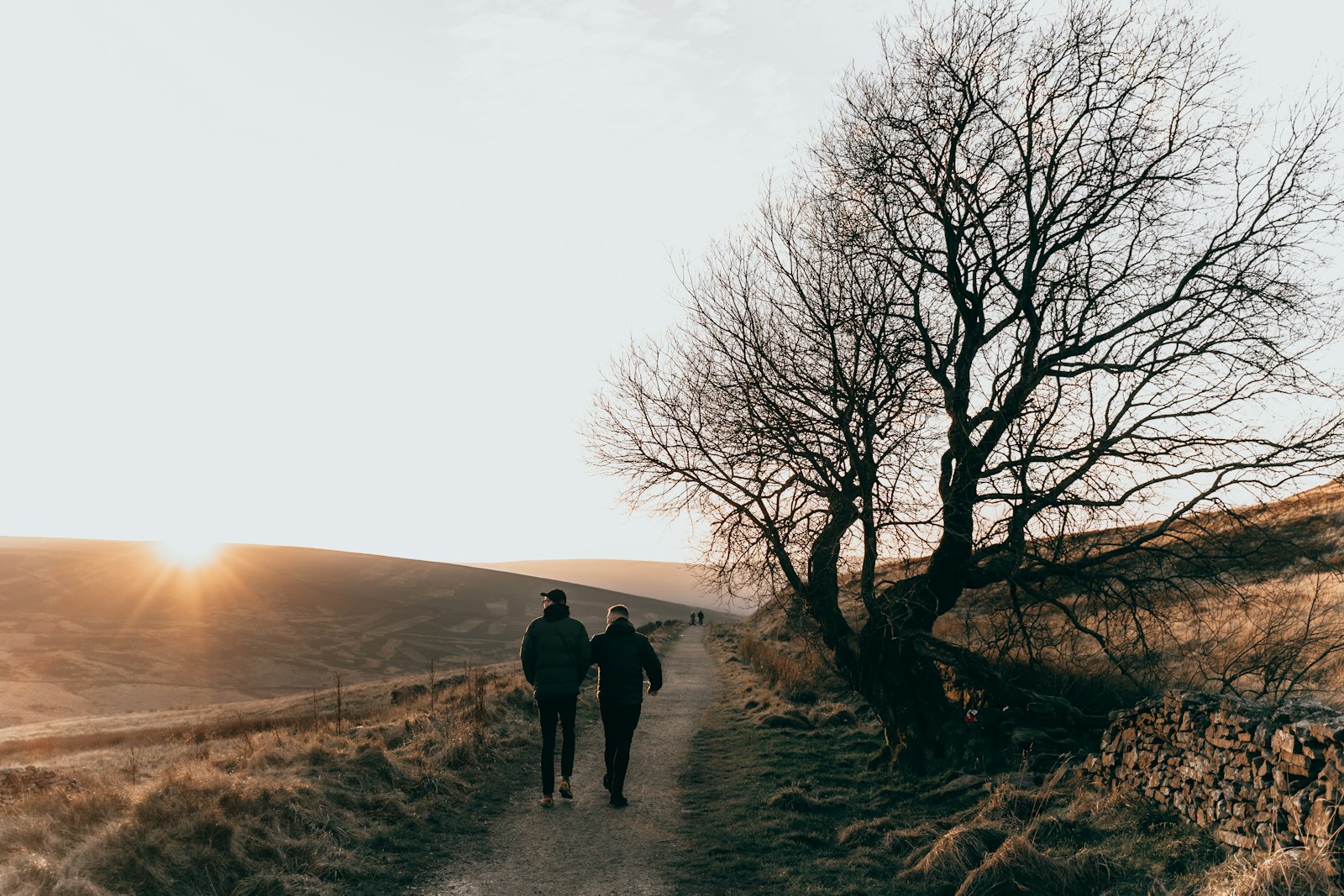 Dos personas caminando juntas por un sendero de campo al atardecer, junto a un árbol